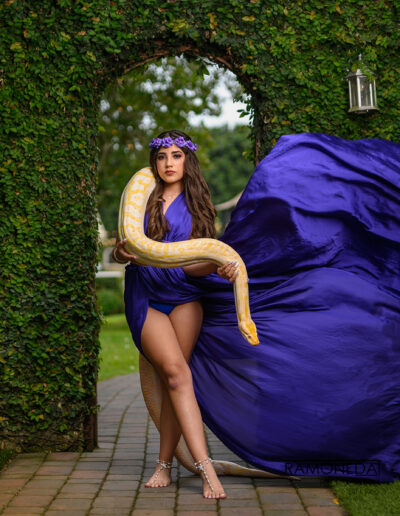 quincenera dress snake