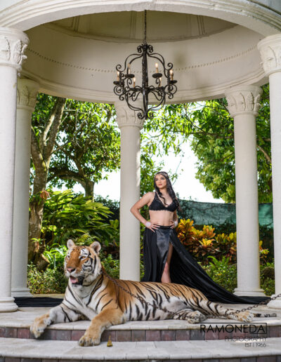 SANTANDER ASHLEY 228