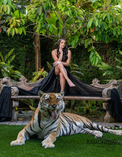 Quinceanera photoshoot tiger