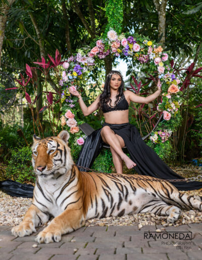 SANTANDER ASHLEY 272 1