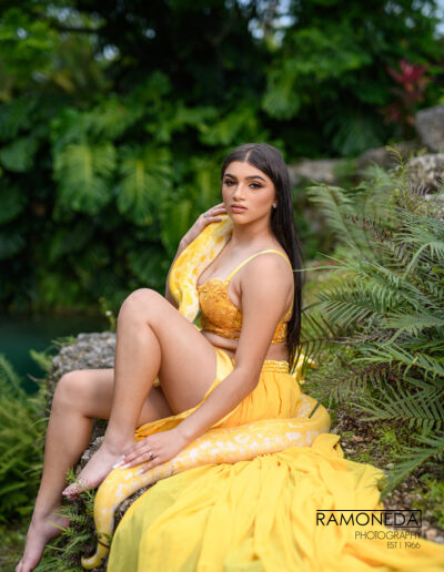 SANTANDER ASHLEY 411