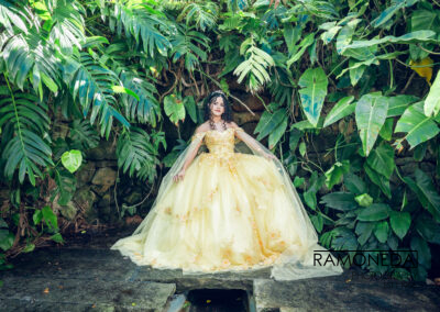 Ramoneda quince photography and dress orlando tampa hollis garden
