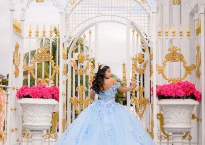 Ramoneda quince photography and dress orlando tampa ome chateau